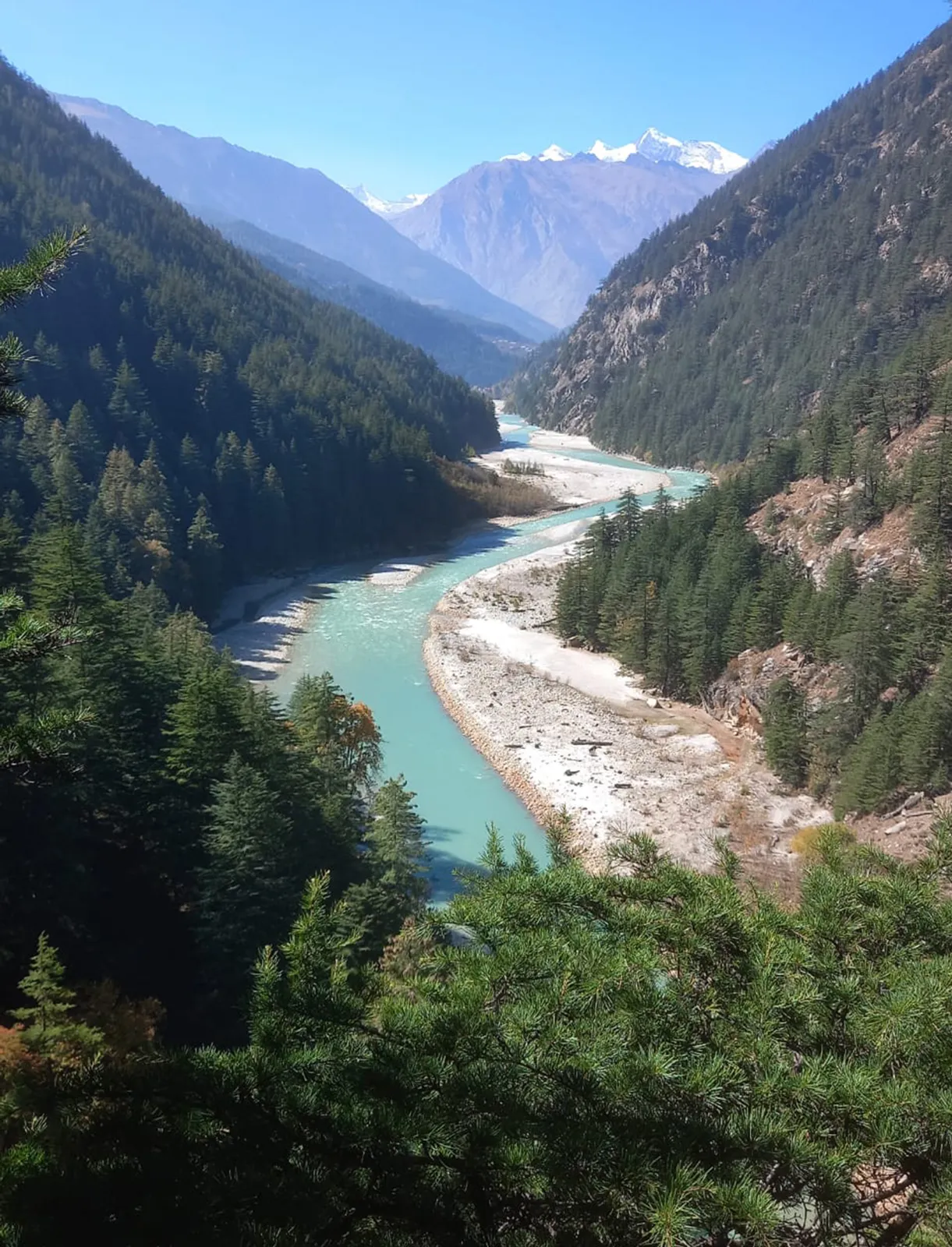 Gangotri Road